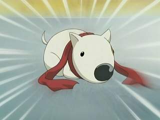 Hund